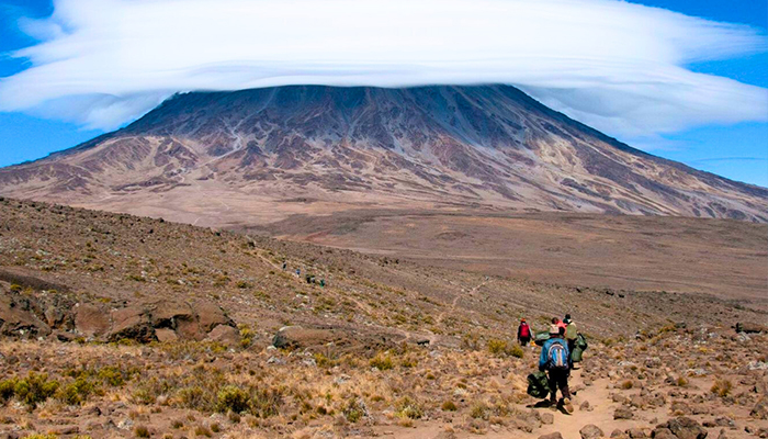 Kilimanjaro