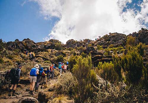 6 Days Rongai route